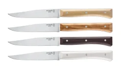 Online Opinel Coffret de 4 couteaux de table Facette Panaché